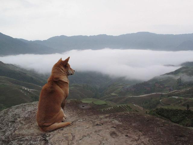 史上最全阅读理解技巧总结，怎样快速提高英语阅读