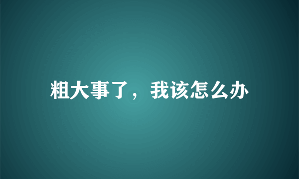 粗大事了，我该怎么办