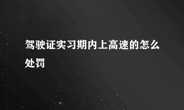 驾驶证实习期内上高速的怎么处罚