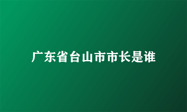 广东省台山市市长是谁