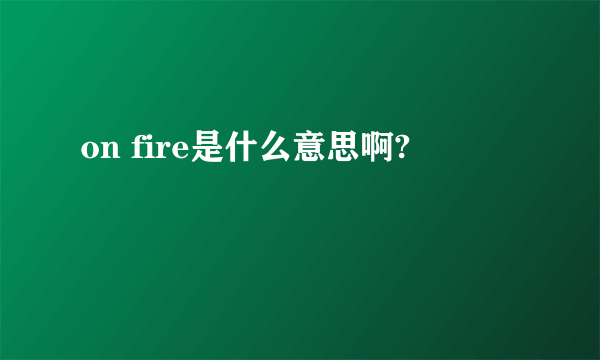 on fire是什么意思啊?