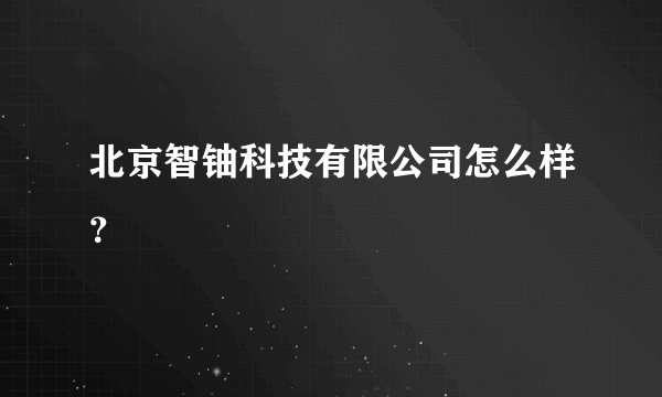 北京智铀科技有限公司怎么样？