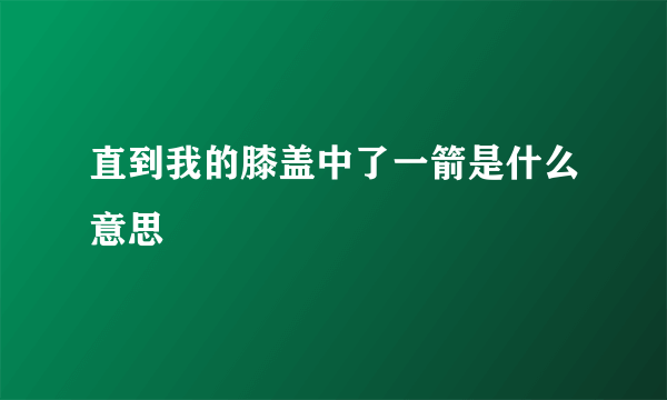 直到我的膝盖中了一箭是什么意思