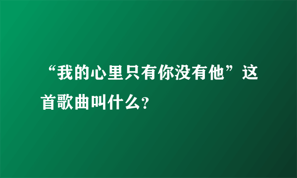 “我的心里只有你没有他”这首歌曲叫什么？