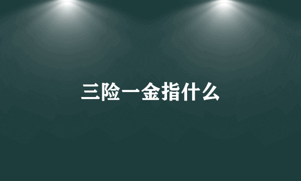 三险一金指什么