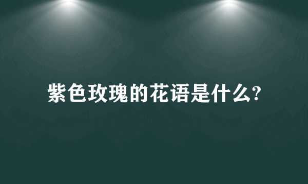 紫色玫瑰的花语是什么?