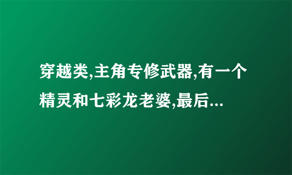 穿越类,主角专修武器,有一个精灵和七彩龙老婆,最后逆天造武器成神的小说