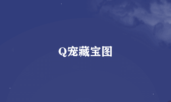 Q宠藏宝图