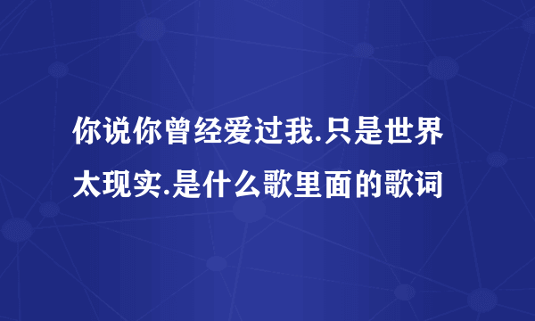 你说你曾经爱过我.只是世界太现实.是什么歌里面的歌词