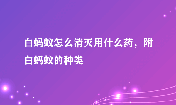 白蚂蚁怎么消灭用什么药，附白蚂蚁的种类