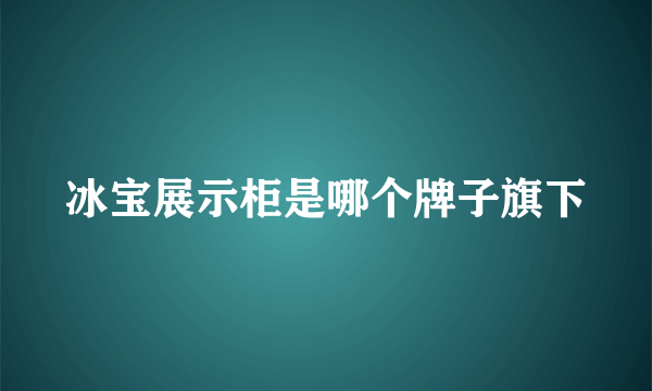 冰宝展示柜是哪个牌子旗下