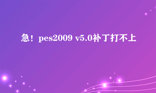 急！pes2009 v5.0补丁打不上