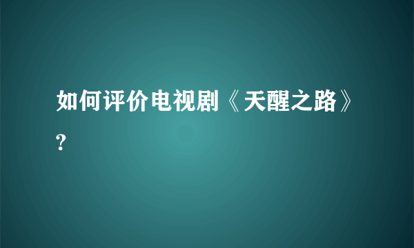 如何评价电视剧《天醒之路》?