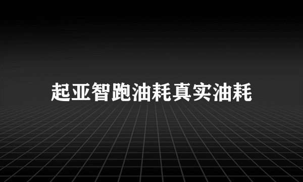 起亚智跑油耗真实油耗