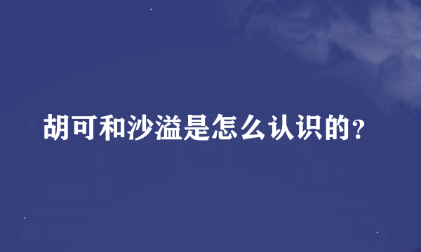 胡可和沙溢是怎么认识的？