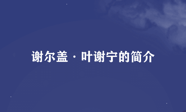 谢尔盖·叶谢宁的简介