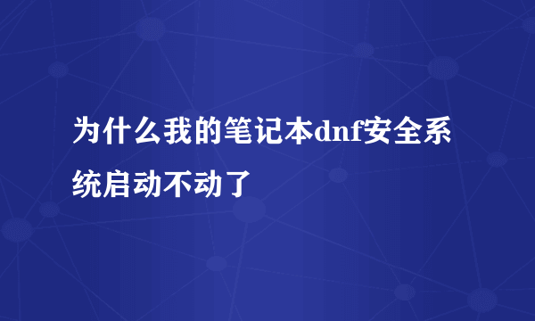 为什么我的笔记本dnf安全系统启动不动了