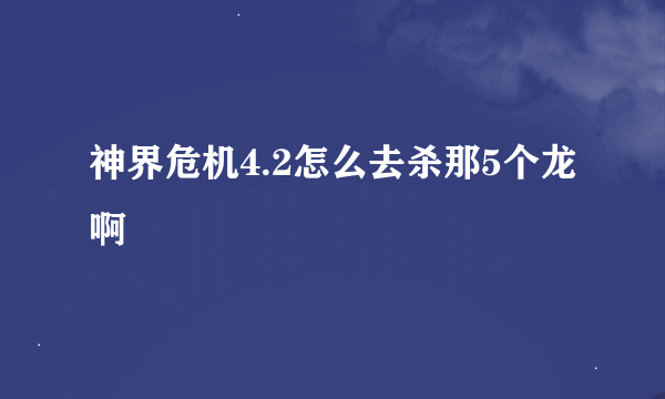 神界危机4.2怎么去杀那5个龙啊