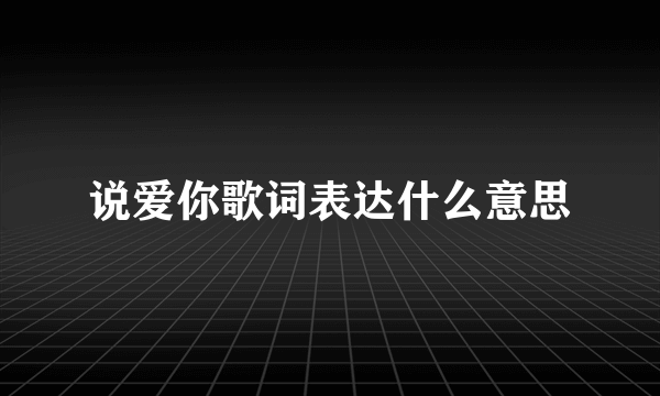 说爱你歌词表达什么意思