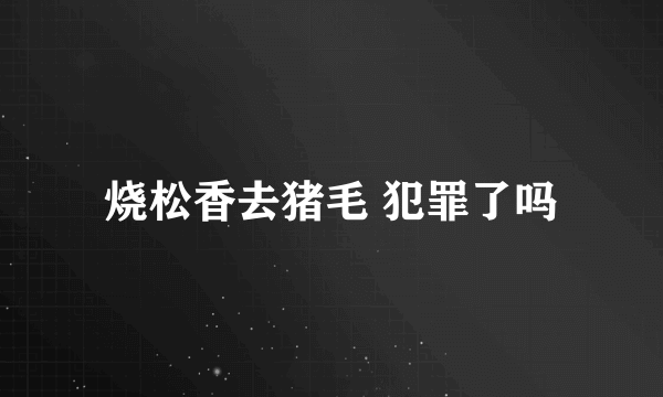 烧松香去猪毛 犯罪了吗