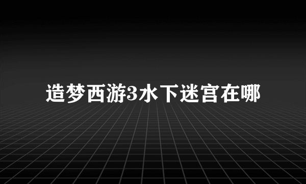 造梦西游3水下迷宫在哪