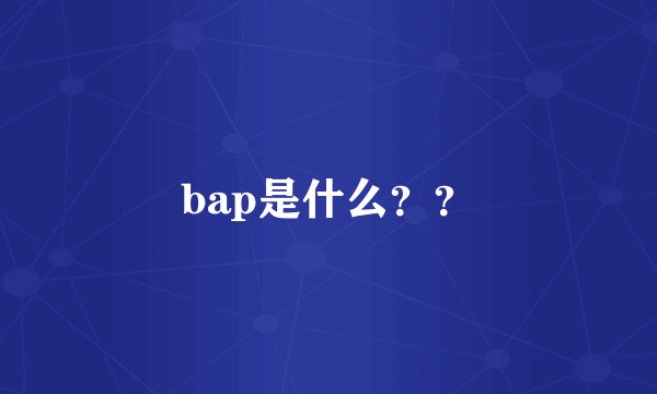 bap是什么？？