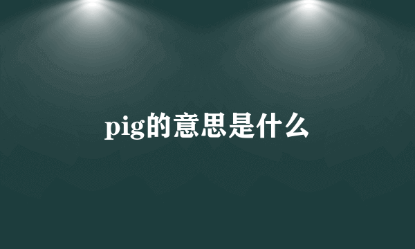 pig的意思是什么