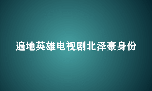 遍地英雄电视剧北泽豪身份