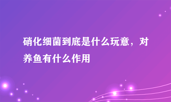 硝化细菌到底是什么玩意，对养鱼有什么作用