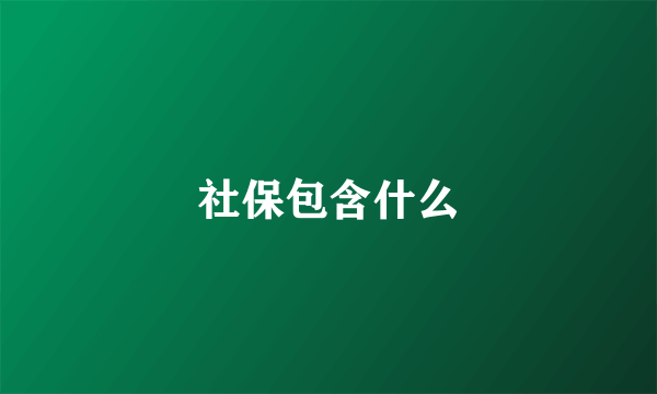 社保包含什么