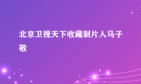 北京卫视天下收藏制片人马子敬