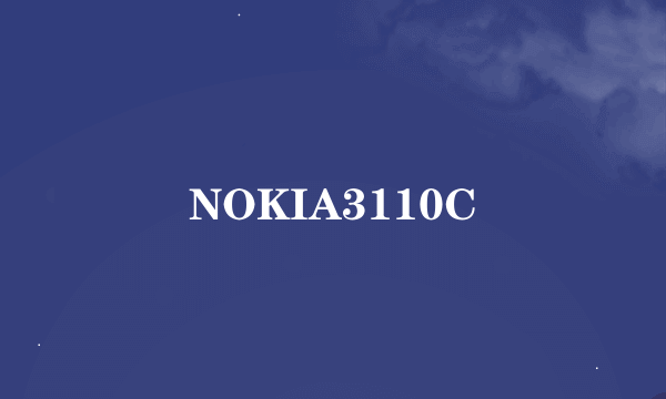 NOKIA3110C