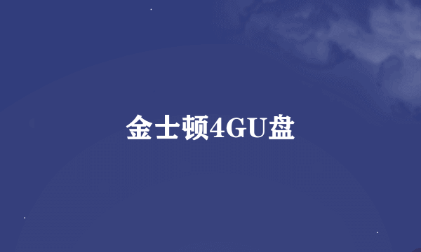 金士顿4GU盘