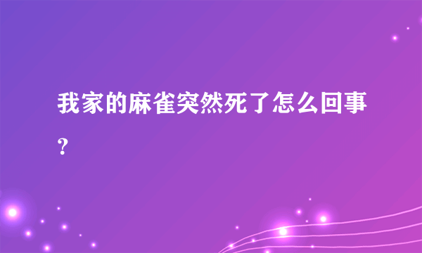 我家的麻雀突然死了怎么回事？