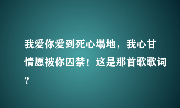 我爱你爱到死心塌地，我心甘情愿被你囚禁！这是那首歌歌词？