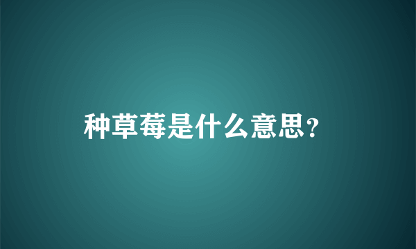 种草莓是什么意思？