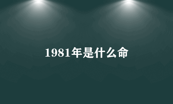 1981年是什么命