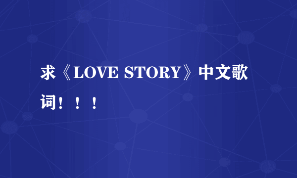 求《LOVE STORY》中文歌词！！！