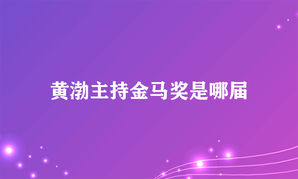 黄渤主持金马奖是哪届