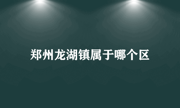 郑州龙湖镇属于哪个区