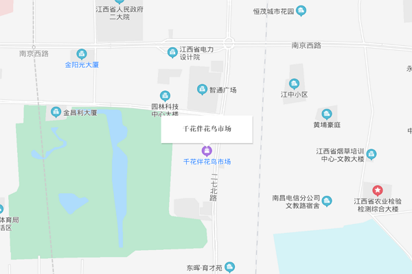 江西南昌的宠物狗市场在什么地方谁知道啊？