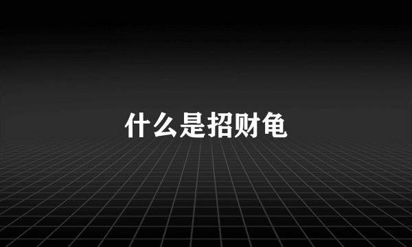 什么是招财龟