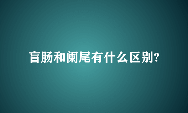 盲肠和阑尾有什么区别?