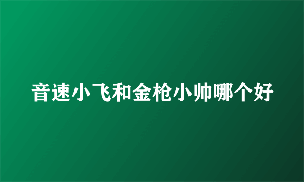 音速小飞和金枪小帅哪个好