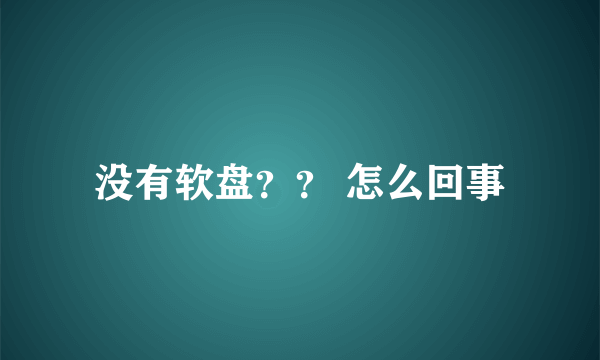 没有软盘？？ 怎么回事