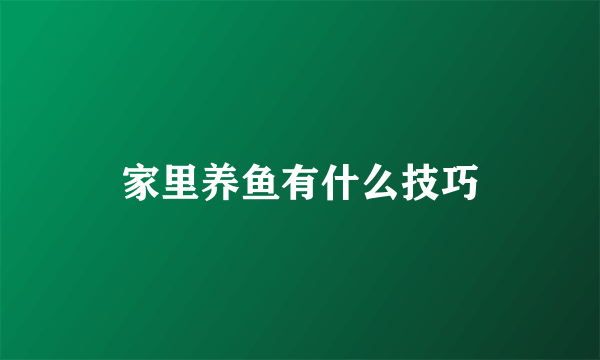 家里养鱼有什么技巧