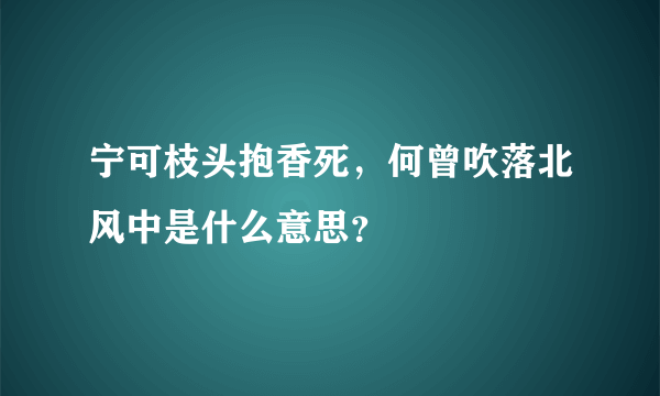 宁可枝头抱香死，何曾吹落北风中是什么意思？