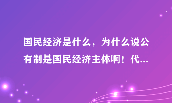 国民经济是什么，为什么说公有制是国民经济主体啊！代表字母是什么