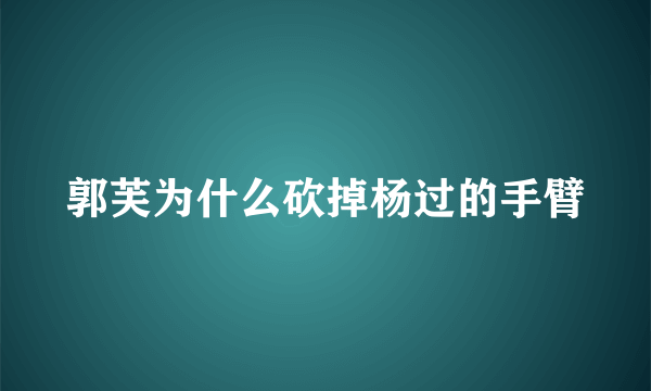 郭芙为什么砍掉杨过的手臂