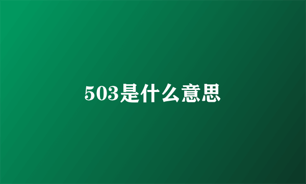 503是什么意思